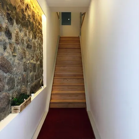 ísis Braga