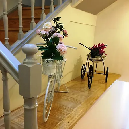Casa de hóspedes ísis Braga